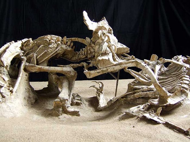 Dinosaurier Live 3D - Fossilien zum Leben erweckt - Filmfotos