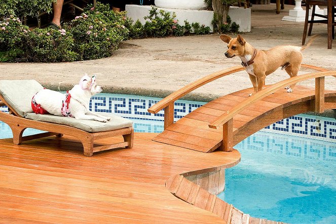 Beverly Hills Chihuahua - Filmfotos