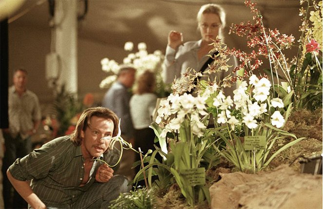 Adaptation (El ladrón de orquídeas) - De la película - Chris Cooper, Meryl Streep