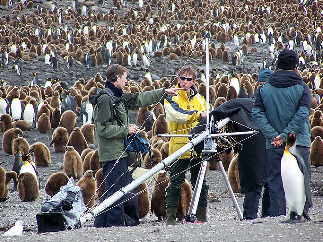 Penguin Safari with Nigel Marven - Filmfotos