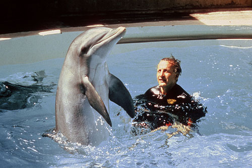 De dag van de dolfijn - Van film