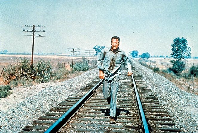 O Presidiário - Do filme - Paul Newman