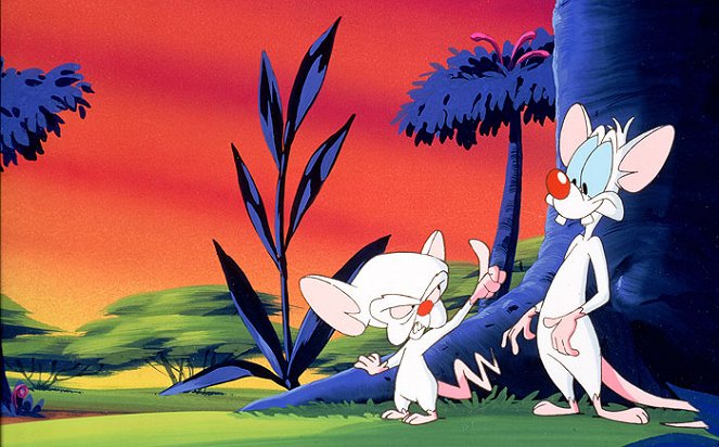 Pinky and the Brain - Photos