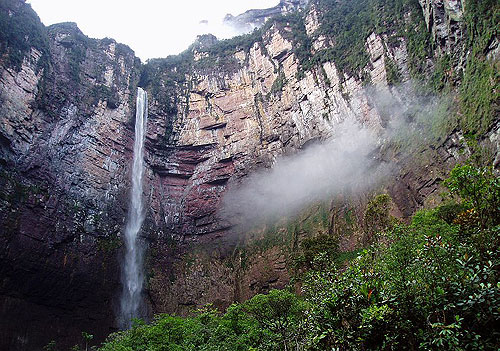Amazonia vertical - Filmfotos