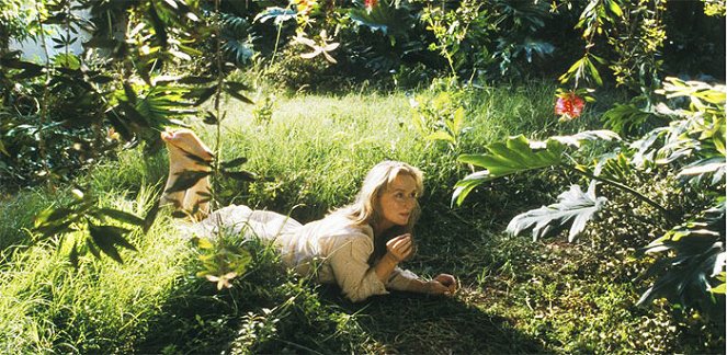 Adaptation (El ladrón de orquídeas) - De la película - Meryl Streep