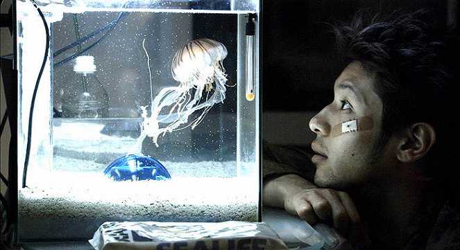 Jellyfish - Film - Jō Odagiri