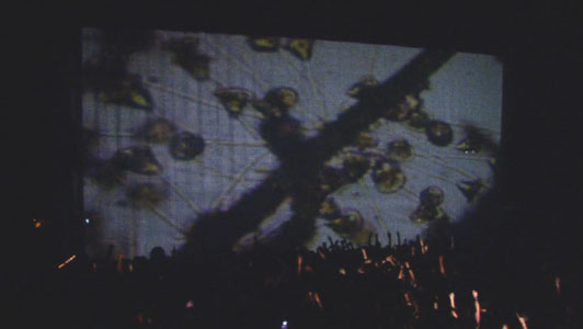 Nine Inch Nails Live: Beside You in Time - Z filmu