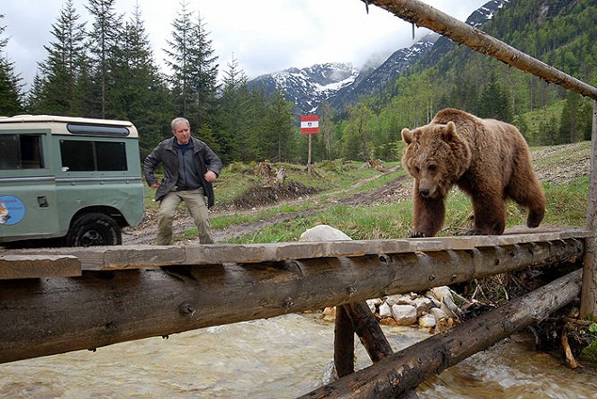 Der Bär ist los! Die Geschichte von Bruno - Filmfotos - Harald Krassnitzer