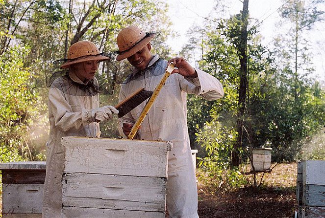 Sekretne życie pszczół - Z filmu - Dakota Fanning