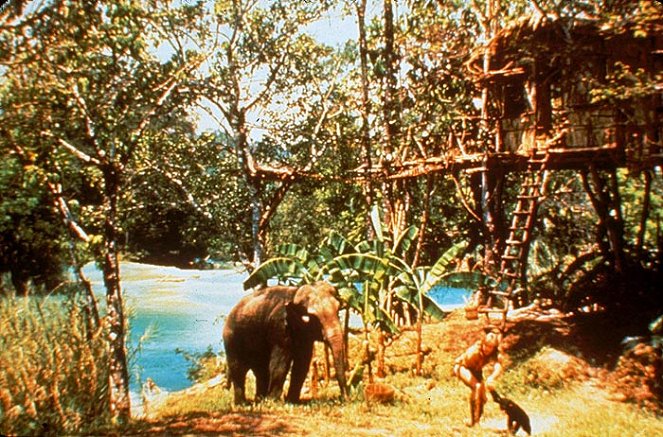 Przygody Tarzana - Z filmu