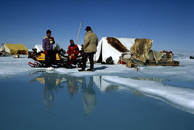 Arktisz királysága - Filmfotók