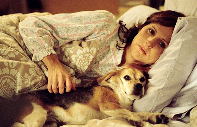 Year of the Dog - Do filme - Molly Shannon