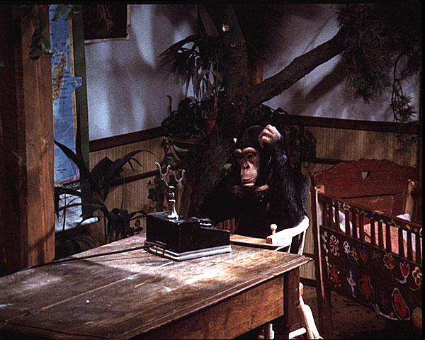 Robert i jego małpka - Z filmu - opice Tereza