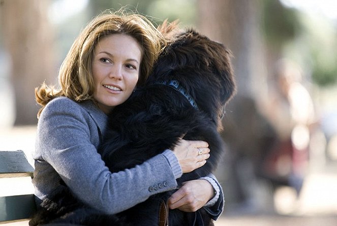 Frau mit Hund sucht Mann mit Herz - Filmfotos - Diane Lane