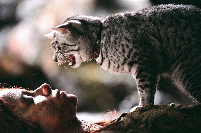 Kobieta-Kot - Z filmu - Halle Berry