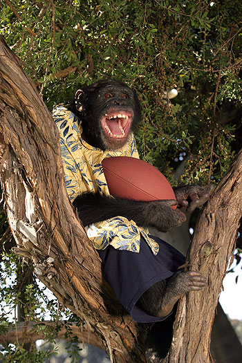 Funky Monkey - Ein Affe in geheimer Mission - Filmfotos