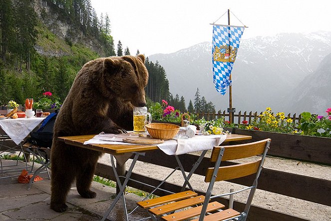 Der Bär ist los! Die Geschichte von Bruno - Film