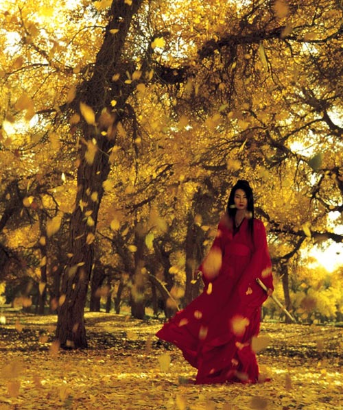 Hero - Photos - Maggie Cheung