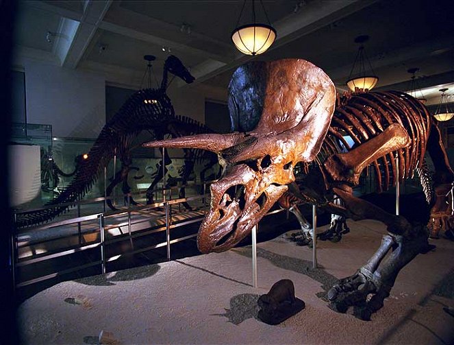 Dinosauři 3D - Z filmu