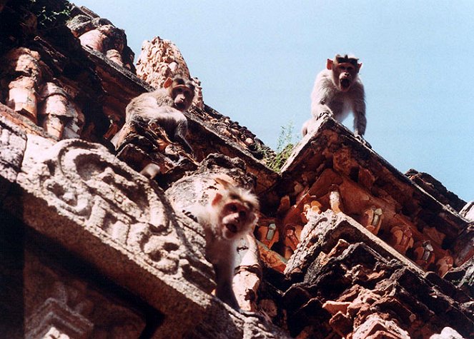 Hanuman - Im Königreich der Affen - Filmfotos