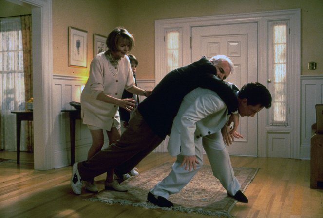 Le Père de la mariée 2 - Film - Diane Keaton, Steve Martin, Martin Short