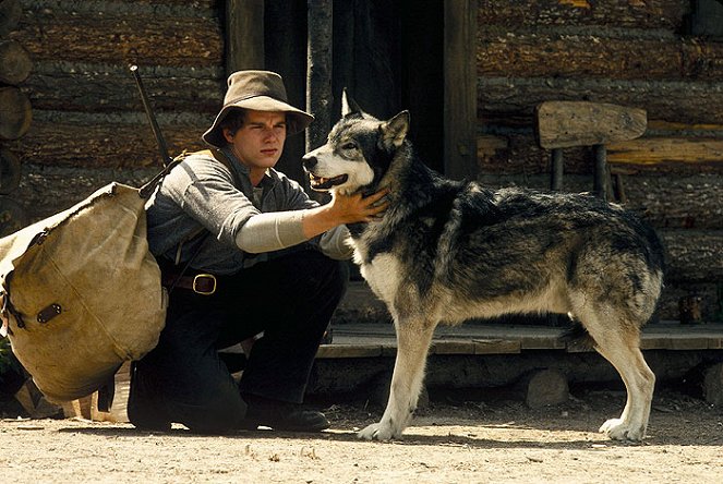 White Fang - Van film - Ethan Hawke, pes Jed