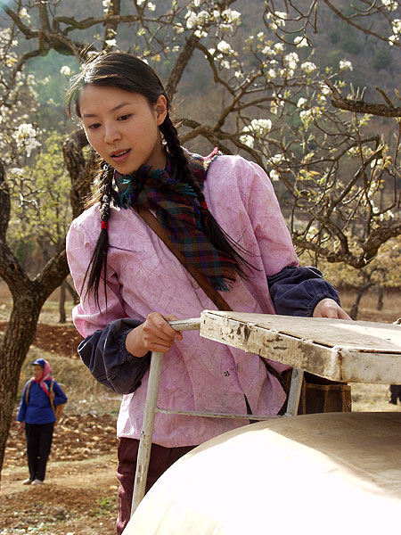 Fang xiang zhi lu - De la película