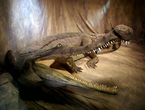 Pravěký krokodýl - Z filmu