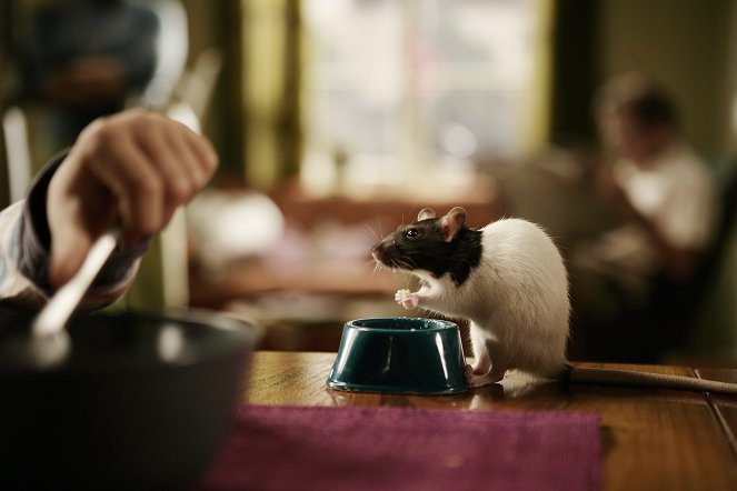 Svein patkánya - Filmfotók