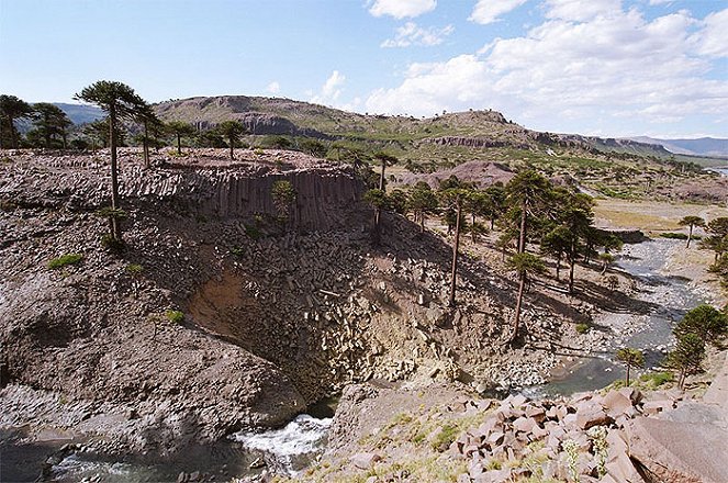 Dinozaury 3D. Giganty Patagonii - Z filmu