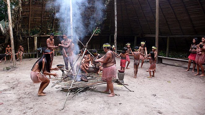National Geographic Special: Secret Cities of the Amazon - Kuvat elokuvasta