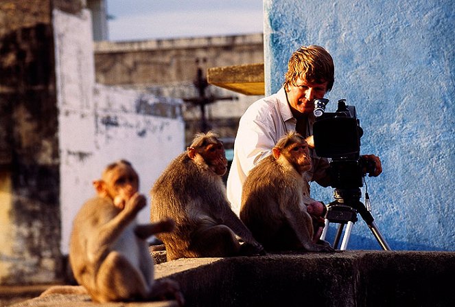 Bad Boy Monkeys of India - Van film