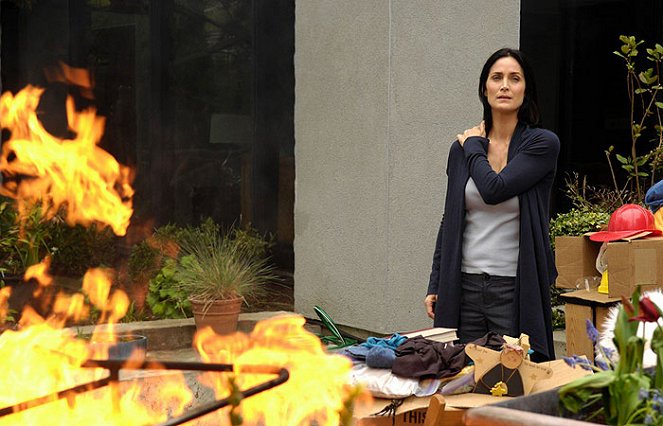 Normal - Photos - Carrie-Anne Moss