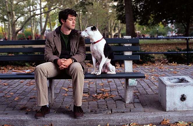 Heavy Petting - Van film - Brendan Hines