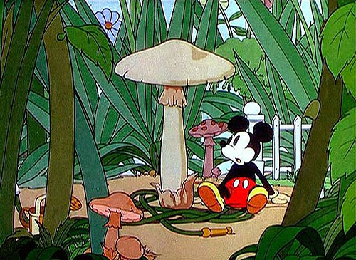 Mickey's Garden - Van film
