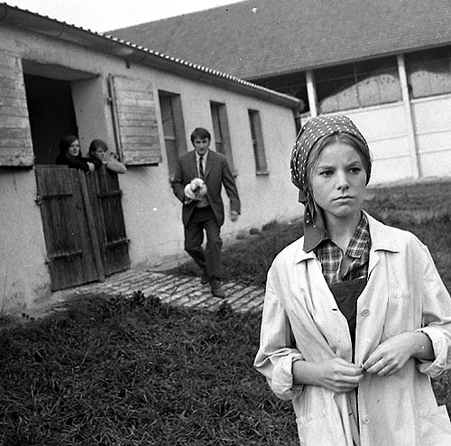 Young Bohácek's Sufferings - Photos - Pavel Landovský, Jorga Kotrbová