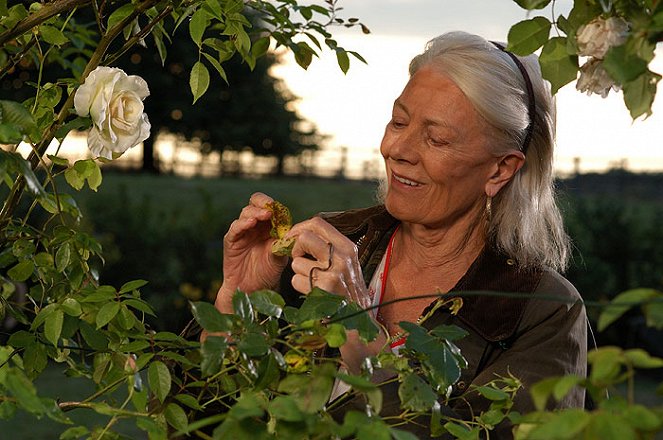 Rosamunde Pilcher - Hledači mušlí - Z filmu - Vanessa Redgrave