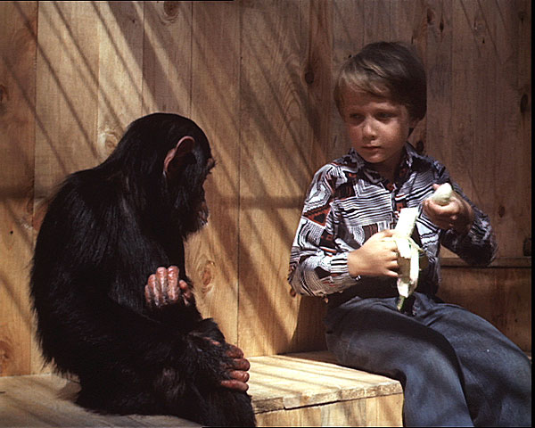 Terezu bych kvůli žádné holce neopustil - Kuvat elokuvasta - simpanssi Tereza, Norbert Judt