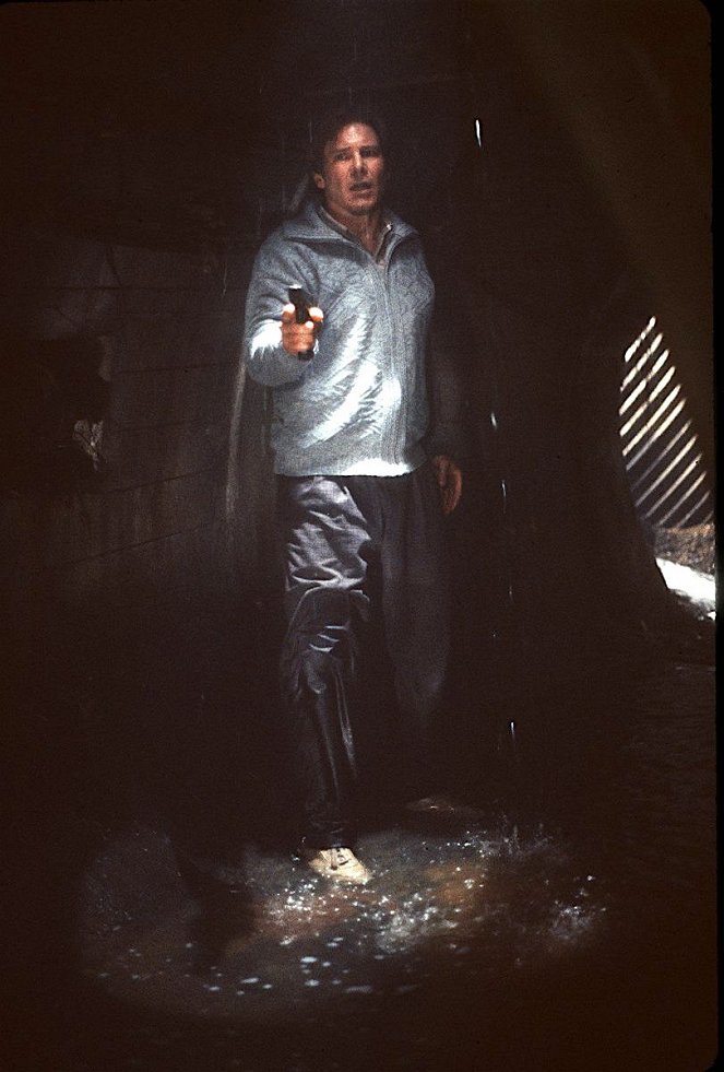 A szökevény - Filmfotók - Harrison Ford