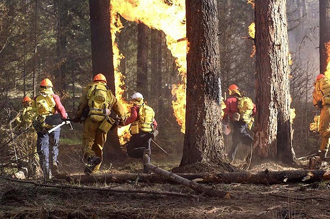 Firestorm: Last Stand at Yellowstone - Film
