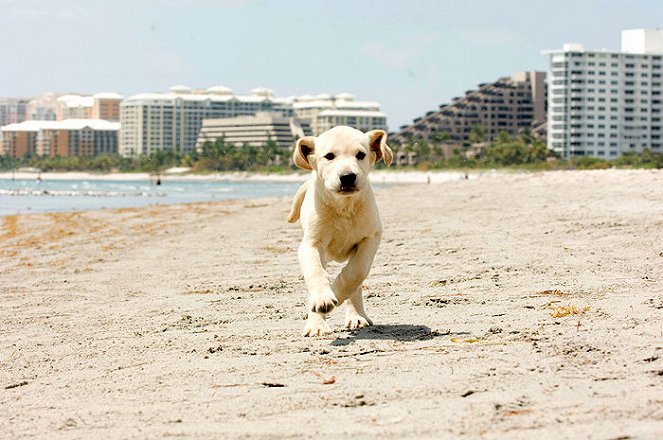 Marley meg én - Filmfotók