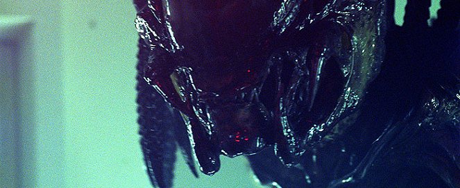 Aliens vs. Predator 2 - Filmfotos