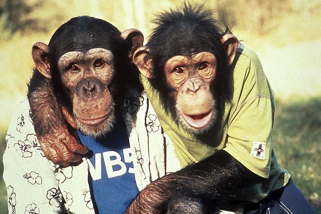 Csapd le csimpánz 2. - Filmfotók
