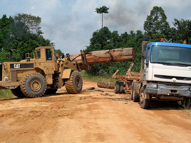 Gabon: Vítězství divočiny - Z filmu