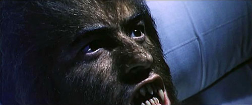 La furia Del Hombre Lobo - De la película