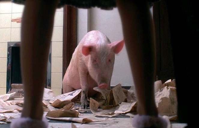 Magere Zeiten - Der Film mit dem Schwein - Filmfotos