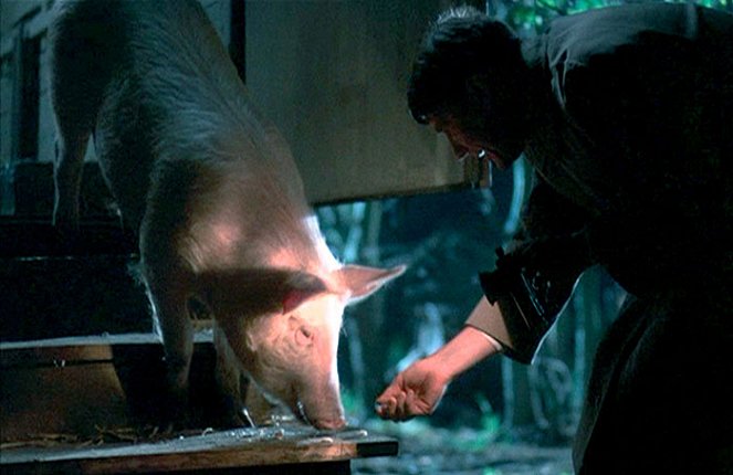 Magere Zeiten - Der Film mit dem Schwein - Filmfotos