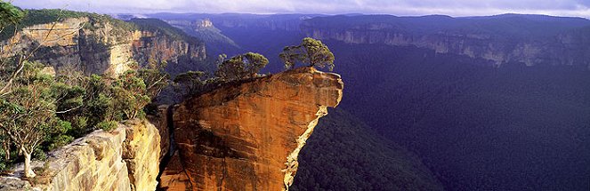 Wild Australasia - Van film