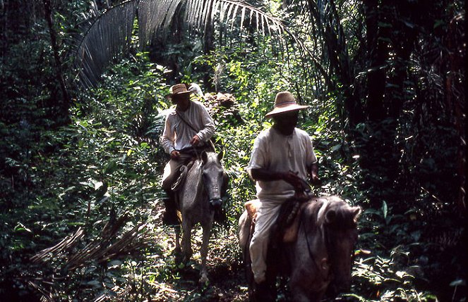 Yucatan - Im Reich des Jaguargottes - Film