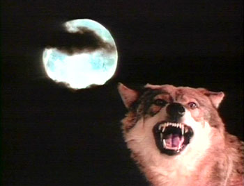 The Unexplained: Witches, Werewolves and Vampires - De la película